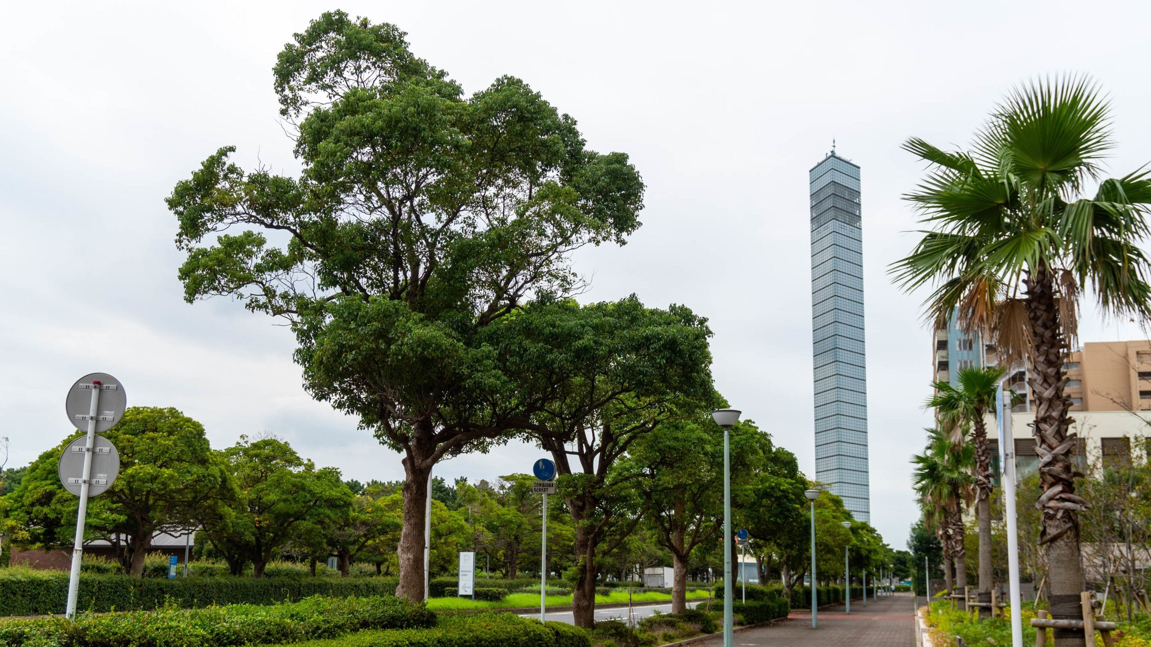 Un parque urbano con árboles grandes, un rascacielos alto y una calle con farolas.