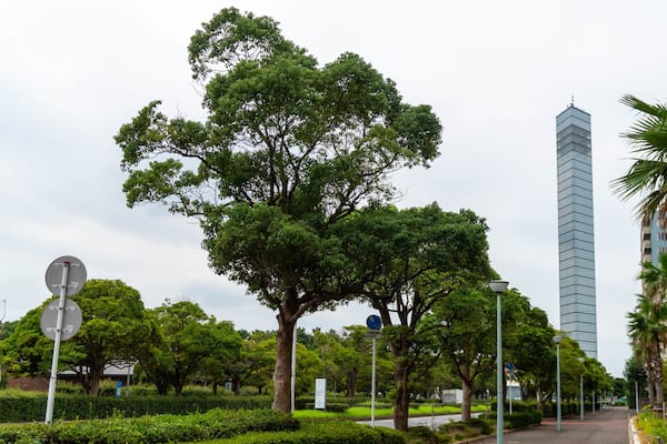 Un parc urbain avec de grands arbres, un gratte-ciel imposant et une rue bordée de lampadaires.