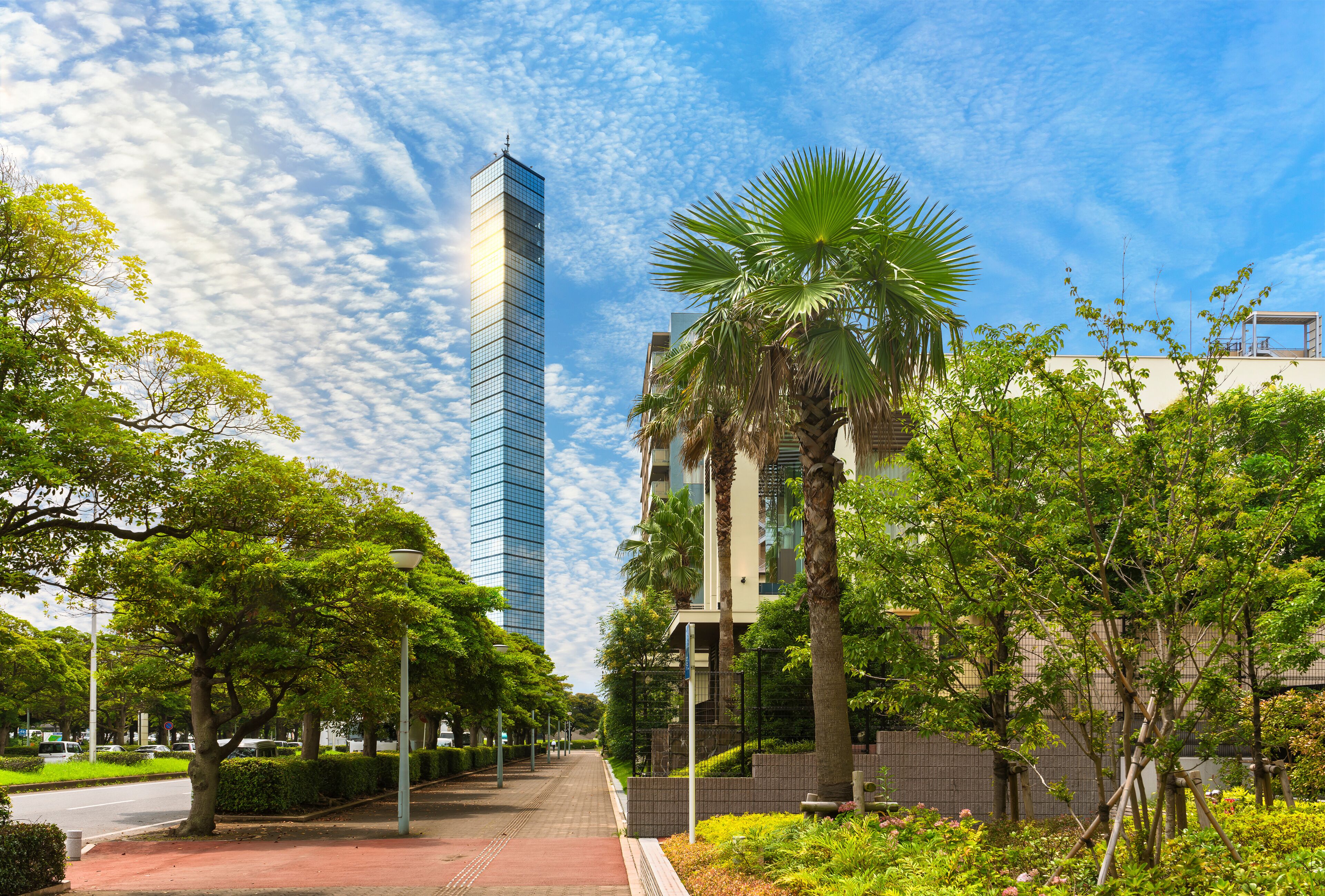 The Rinko Promenade roadside palm trees leading to the Chiba Port Tower covered with mirrors that reflect the sun and clouds in good weather in the port of Chiba.
