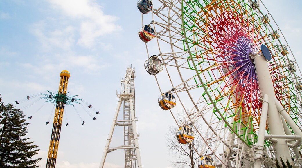 Fuji-Q Highland showing rides and views