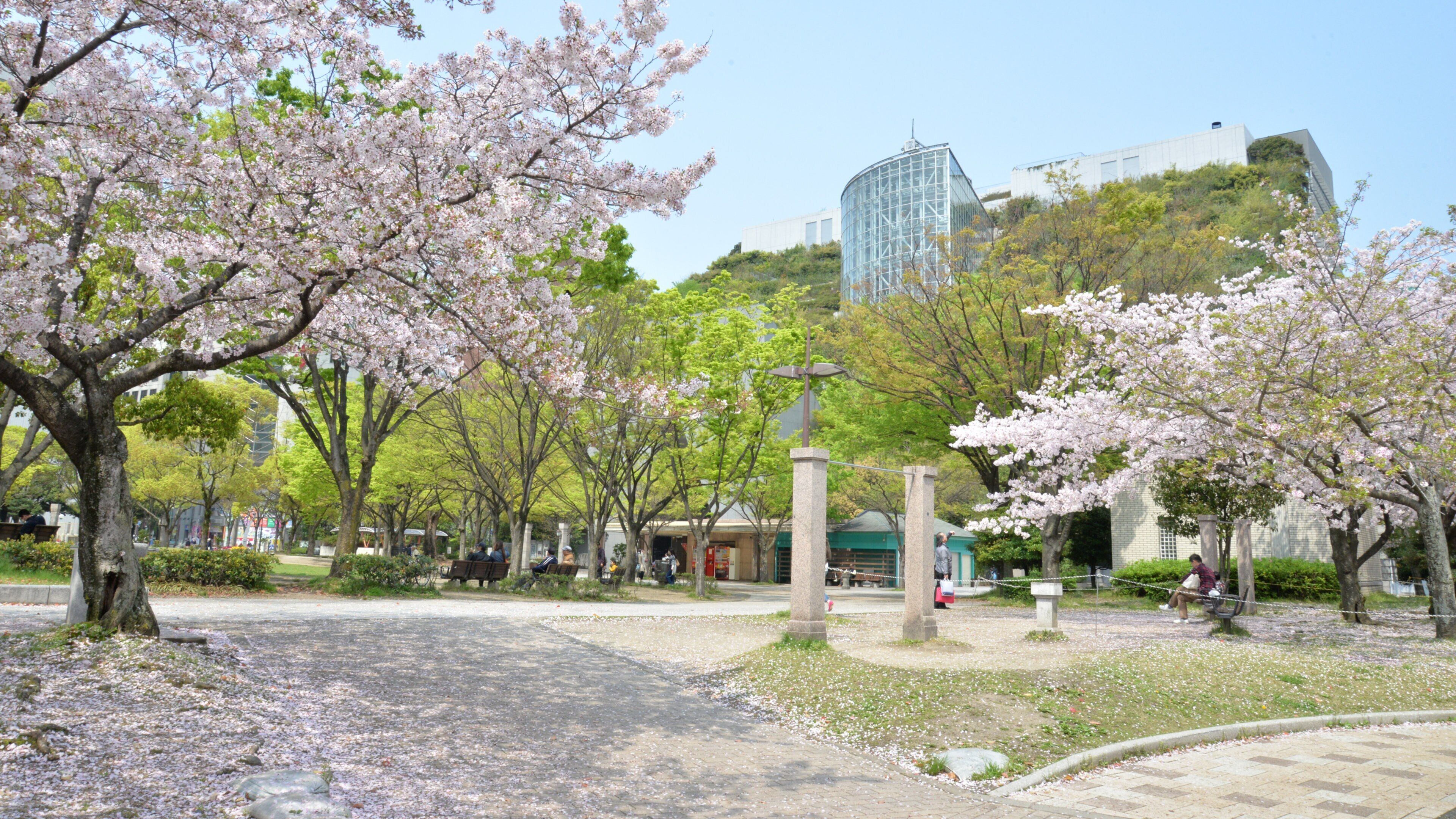 Acros Fukuoka Symphony Hall which includes wildflowers and a garden