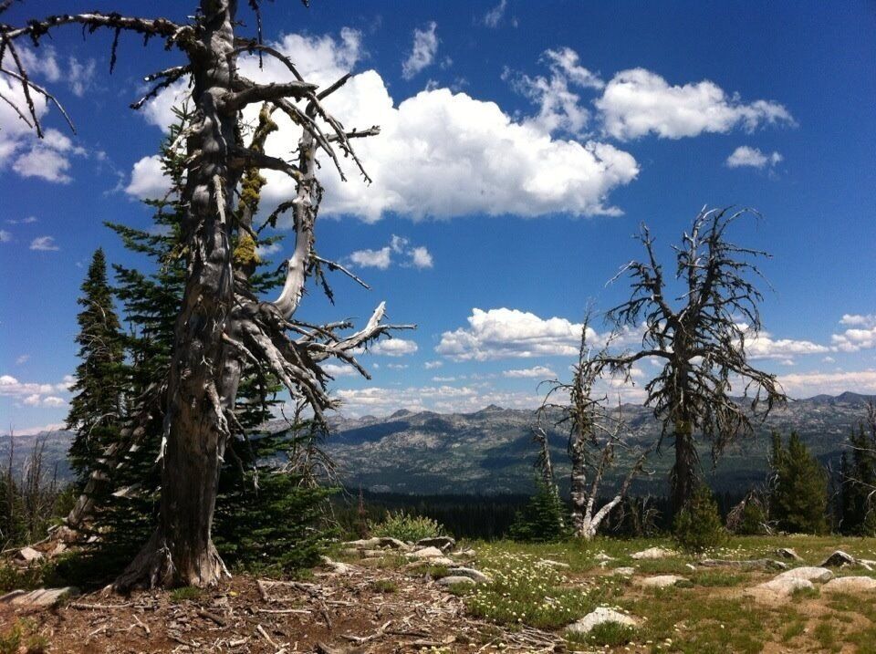 Standing on the 45th parallel, on top of Brundage mountain, close to McCall Idaho. Come here in the winter to ski, or summer for a lake vacation. McCall is small town Idaho to a T, one of my favorite places on earth.