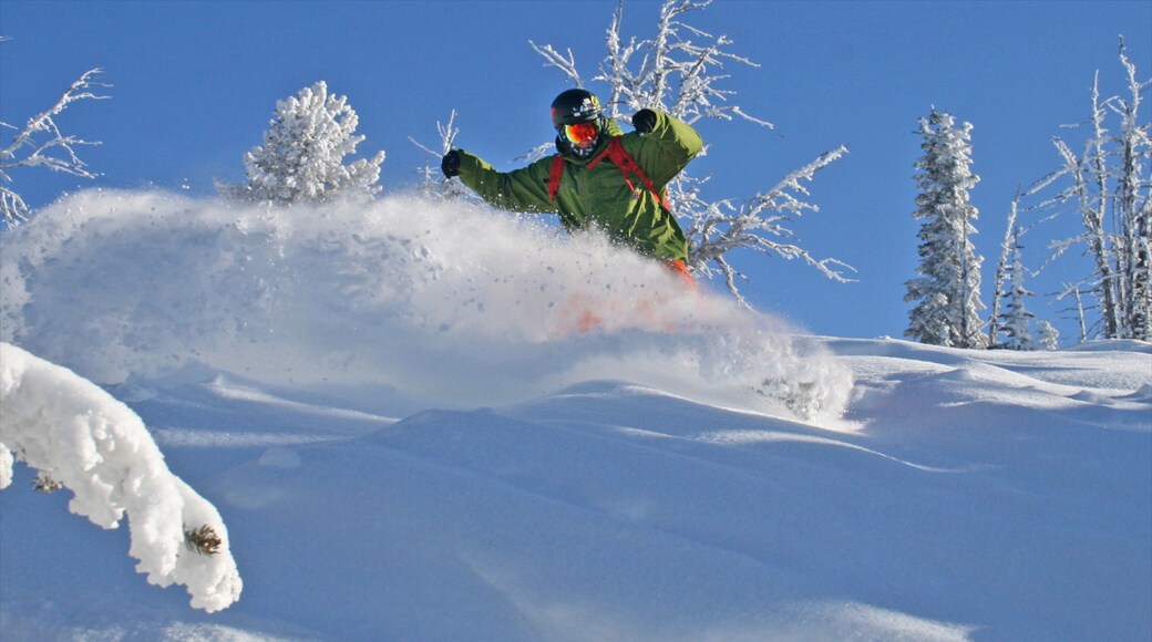 Brundage Mountain Ski Area featuring snow and snow skiing