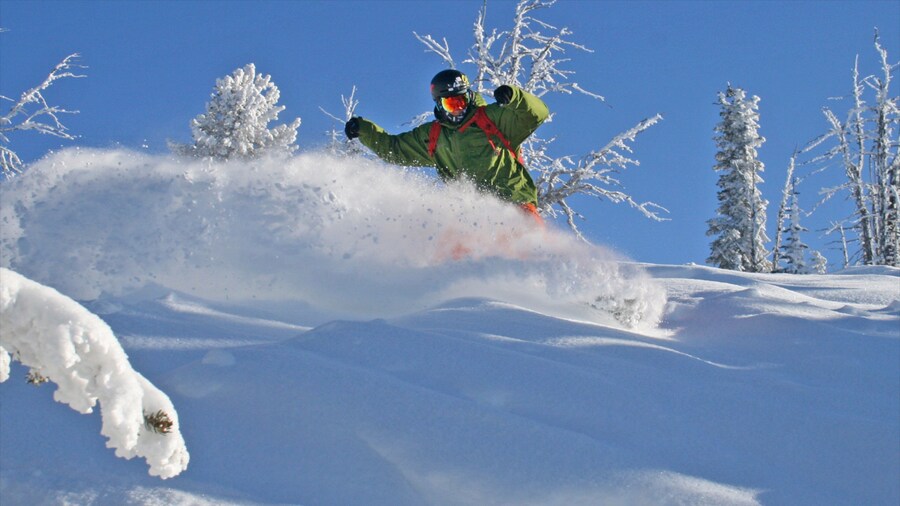 Brundage Mountain Ski Area featuring snow and snow skiing