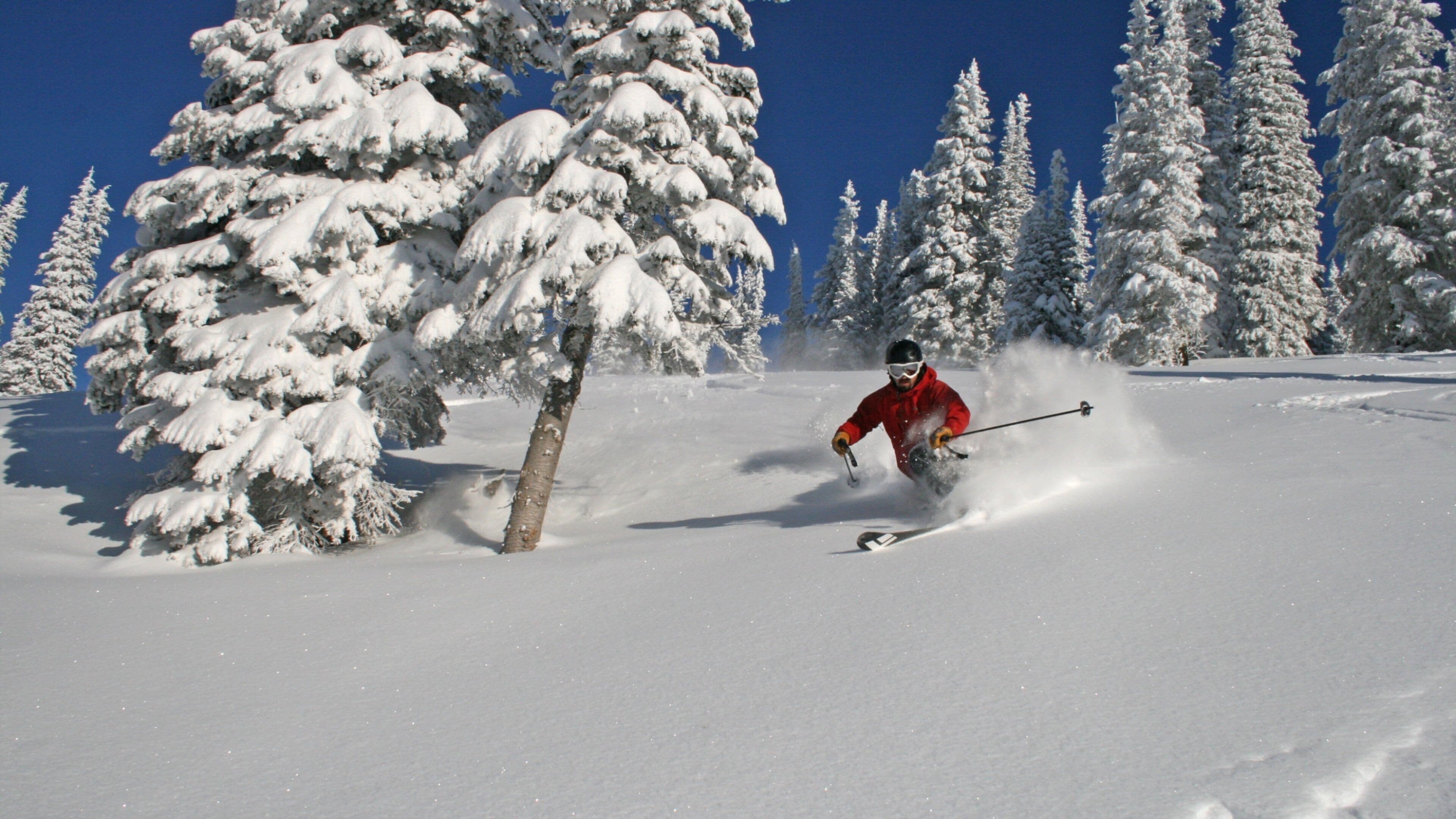 A skier in a red jacket skiing down a snowy slope with snow-covered trees in the background.