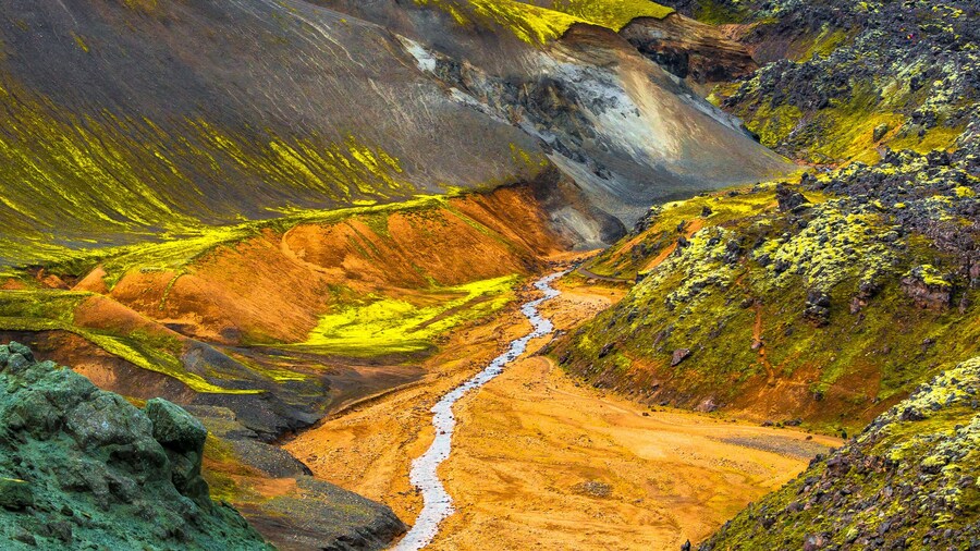Landmannalaugar (terma)
