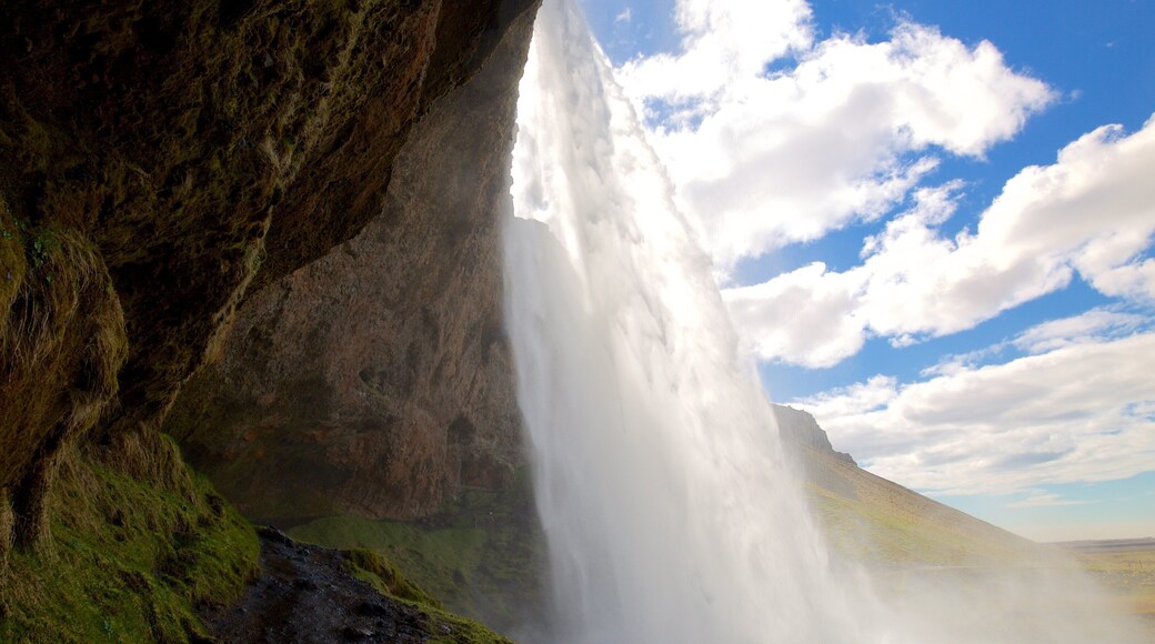 Seljalandsfoss montrant chute d\'eau