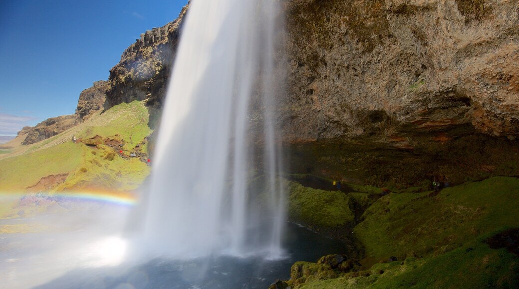 Seljalandsfoss showing a waterfall