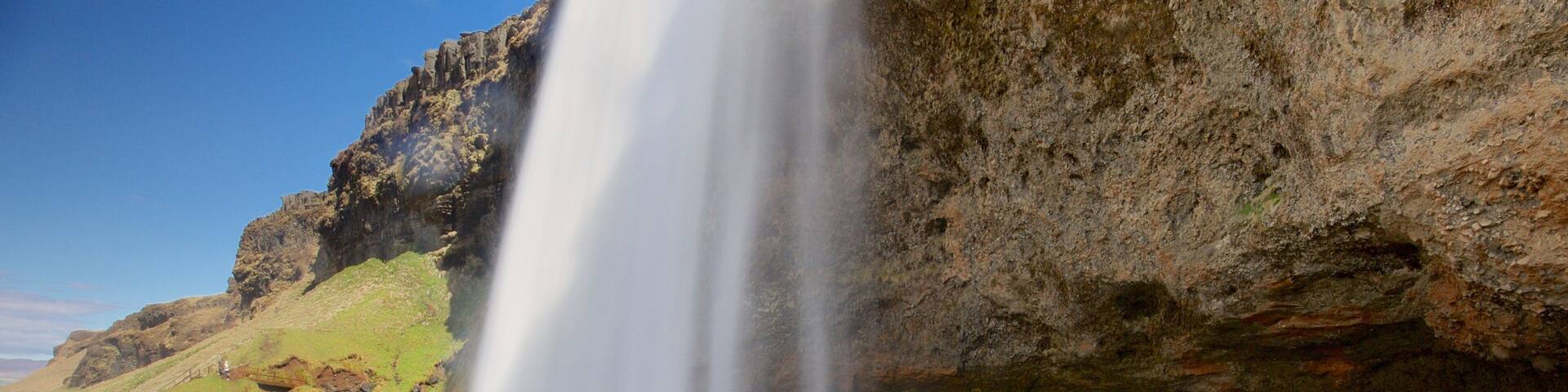 Seljalandsfoss qui includes cascade