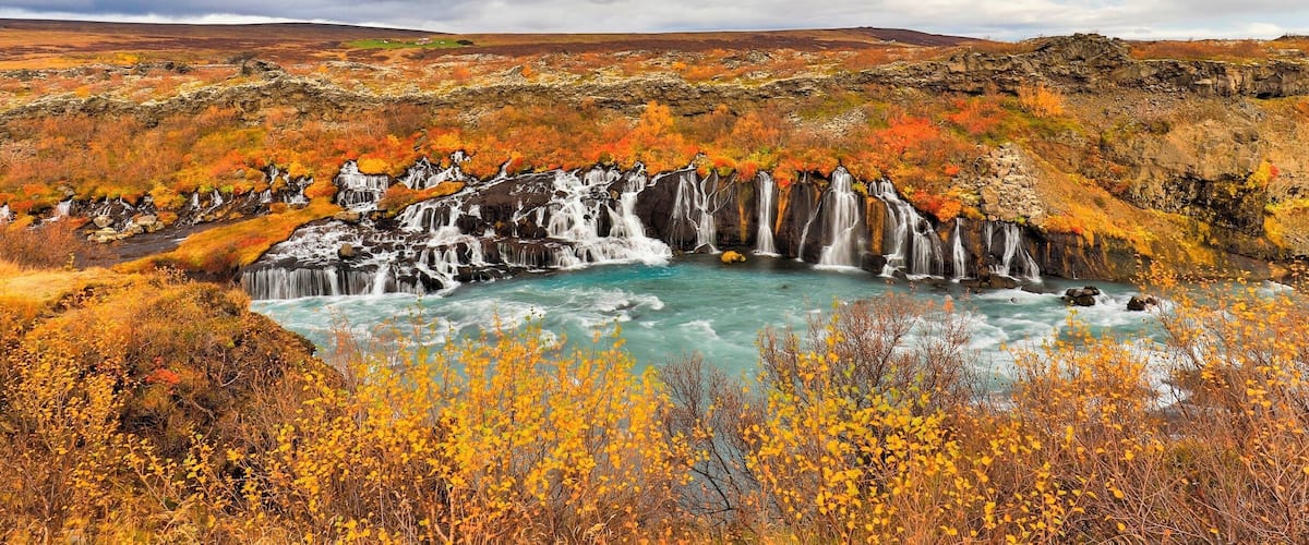 The Lava waterfalls are at the West side of Iceland. There is a view point near the car park offering an amazing view of the waterfalls. In Autumn, the views are more colourful and beautiful.
#Golden