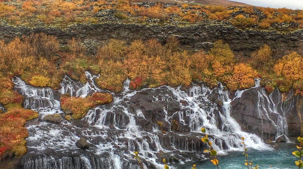 Beautiful Hraunfossar 💦🇮🇸
#waterfall
#chasingwaterfalls