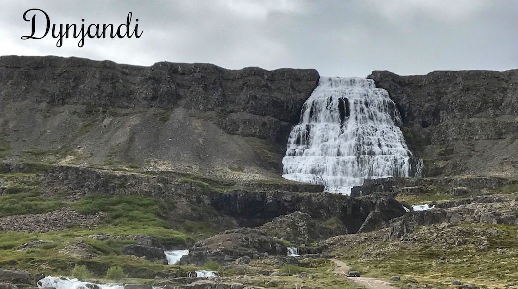 In the Westfjords you will come across spectacular views around each new fjord bend, and this waterfall is no exception. A short hike up gets you a view of the waterfall close up and a amazing lookout across the fjord onto the ocean
#TakeAHike