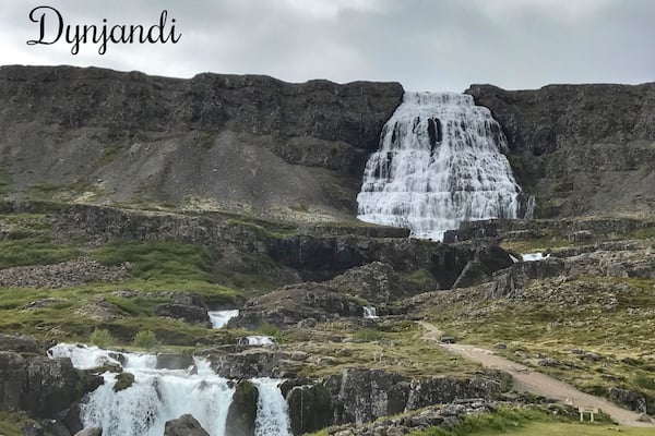 In the Westfjords you will come across spectacular views around each new fjord bend, and this waterfall is no exception. A short hike up gets you a view of the waterfall close up and a amazing lookout across the fjord onto the ocean
#TakeAHike