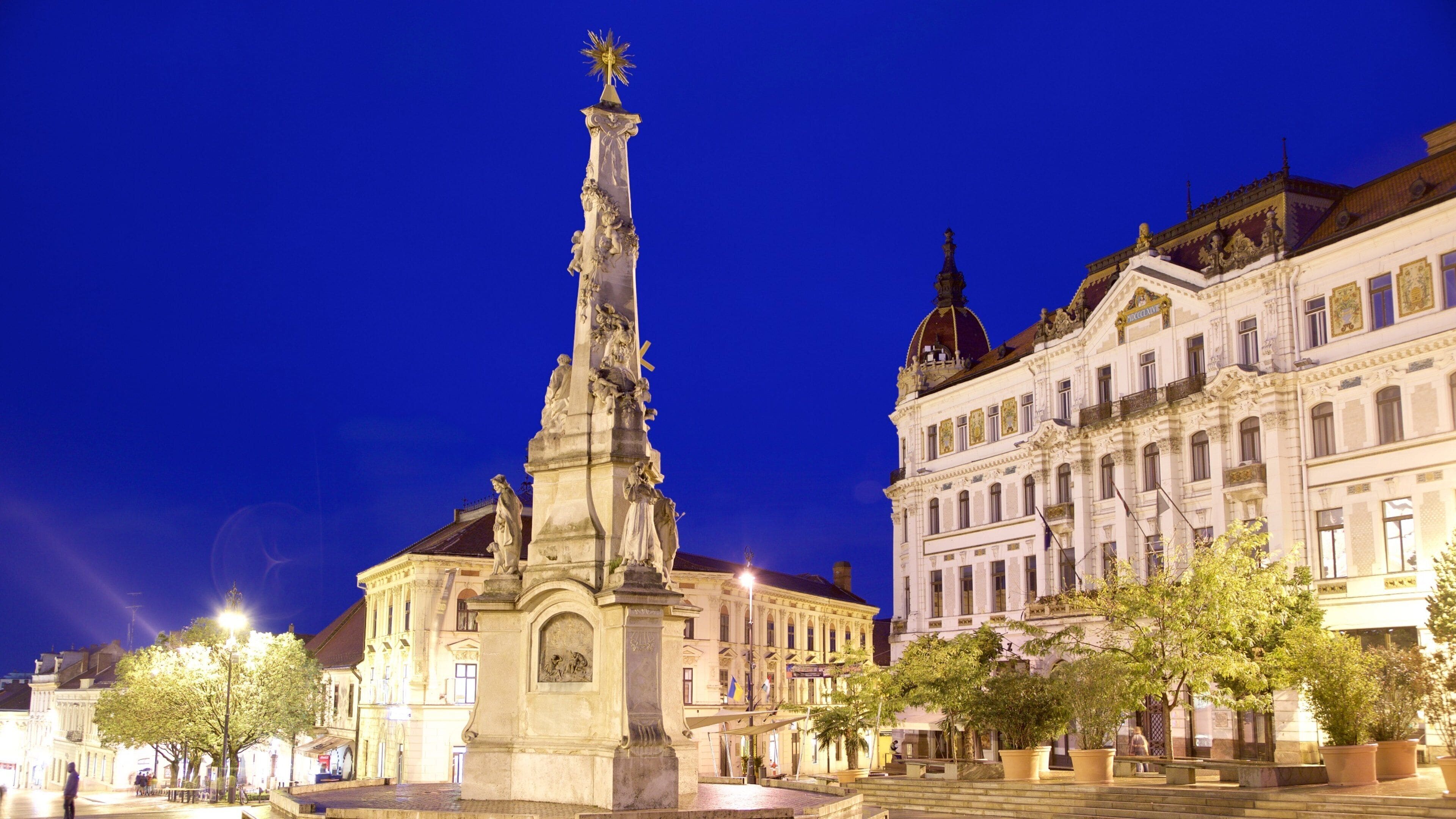 Szechenyi Square showing an administrative building, heritage architecture and night scenes