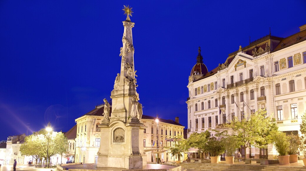 Szechenyi Square showing an administrative building, heritage architecture and night scenes