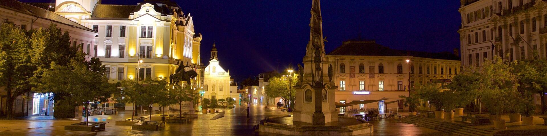 Szechenyi Square showing a city, night scenes and a monument