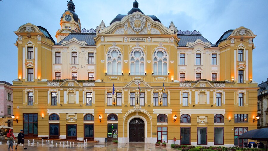 Szechenyi Square bevat een overheidsgebouw en historische architectuur