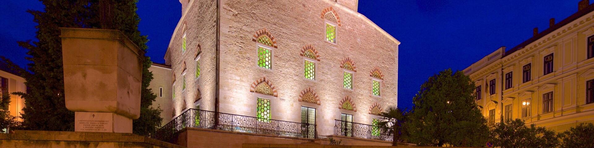 Mosque of Gazi Kaszim Pasha which includes heritage architecture, a mosque and night scenes