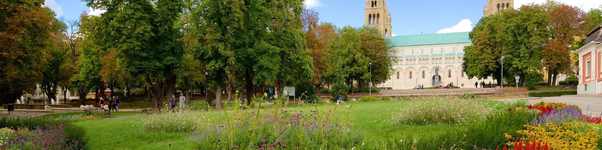 Pecs Cathedral which includes a garden, a church or cathedral and flowers