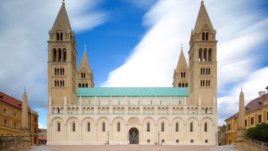 Pecs Cathedral toont een kerk of kathedraal en historische architectuur