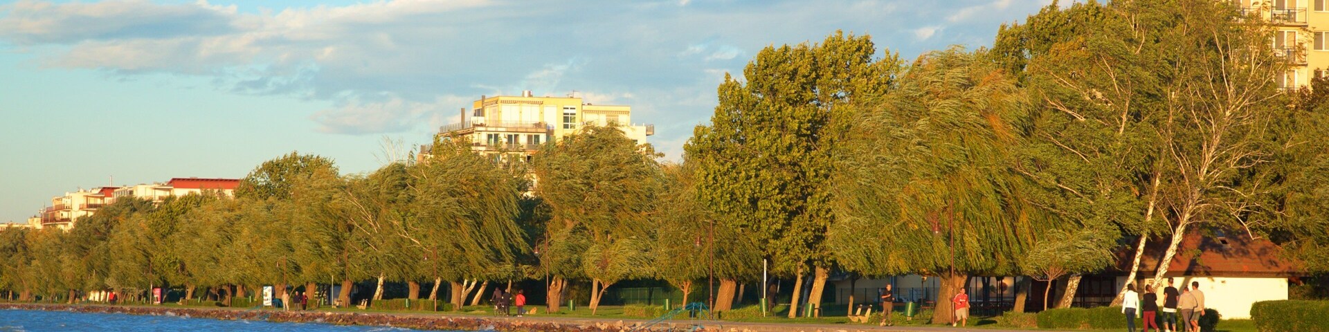 Golden Shore featuring a park and general coastal views