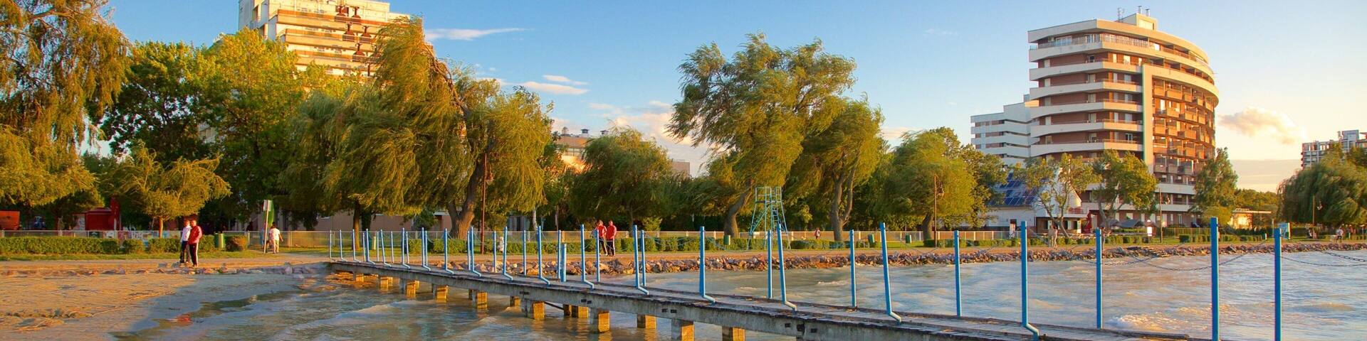 Aranypart mostrando una playa y vista