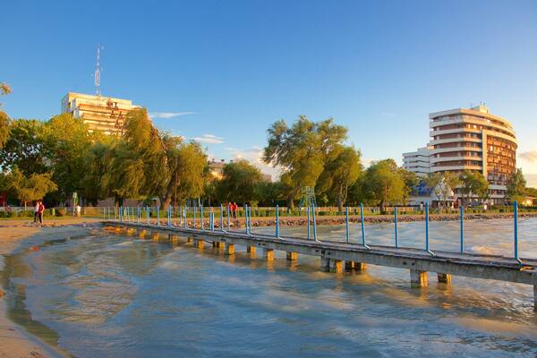 Golden Shore showing views and a beach
