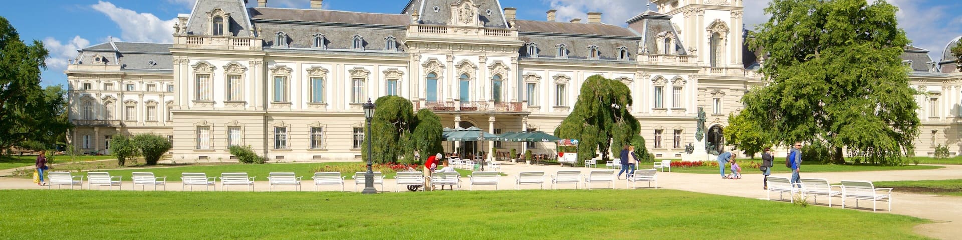 Festetics Palace featuring chateau or palace and heritage architecture