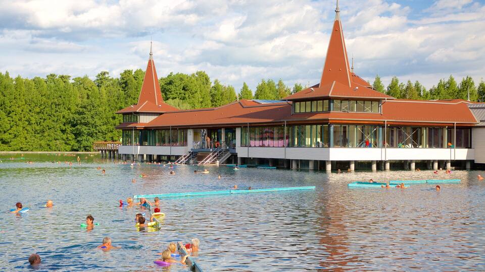 A swimming pool with people, a building with two red-roofed towers, and a forest in the background.