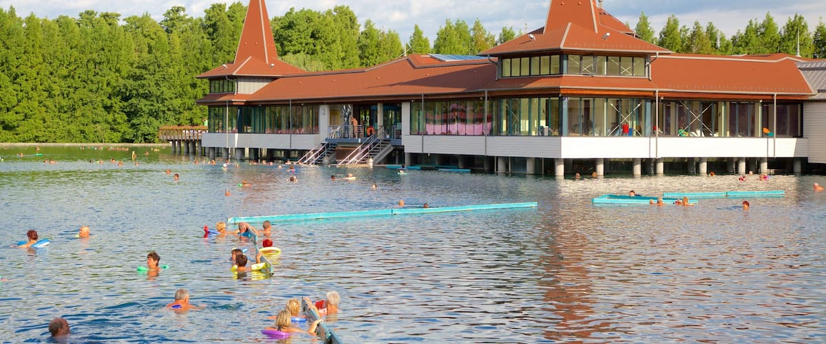 A swimming pool with people, a building with two red-roofed towers, and a forest in the background.