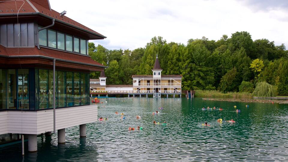 A lakeside swimming area with a wooden deck, a white building with a tower, and dense green trees in the background.