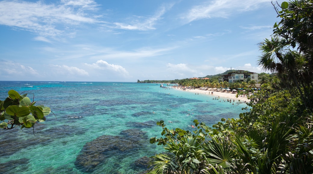 View of West Bay Roatan, Honduras