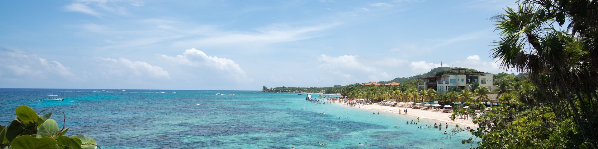 A clear blue sea, a sandy beach, and lush greenery.