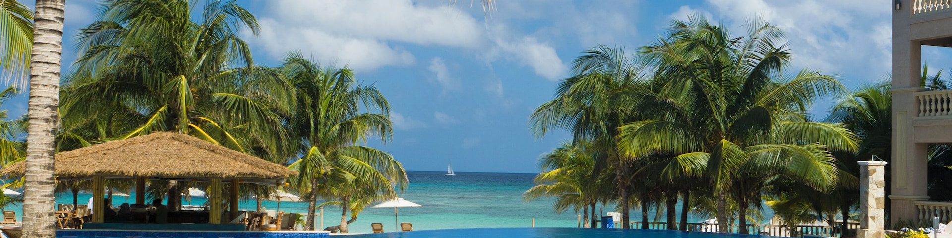 A tropical resort pool in front of the ocean