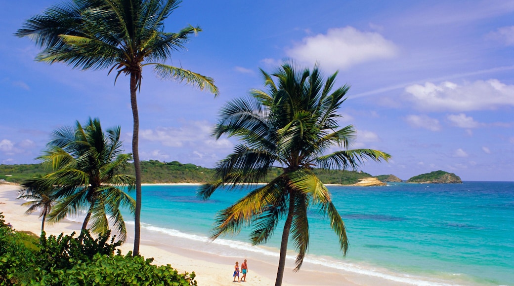 Playa de la Bahía de la Media Luna