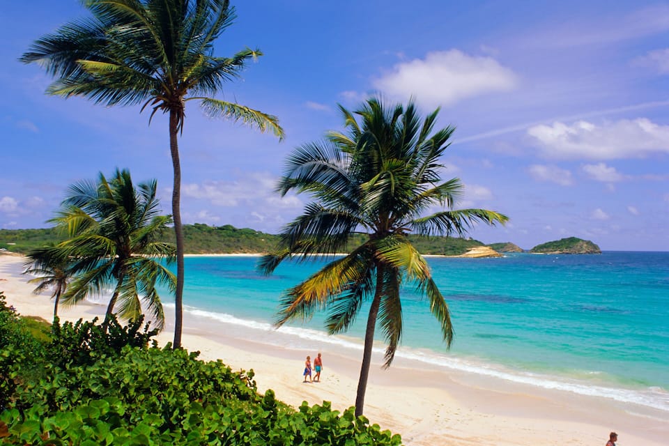 A beach with palm trees and clear blue water.
