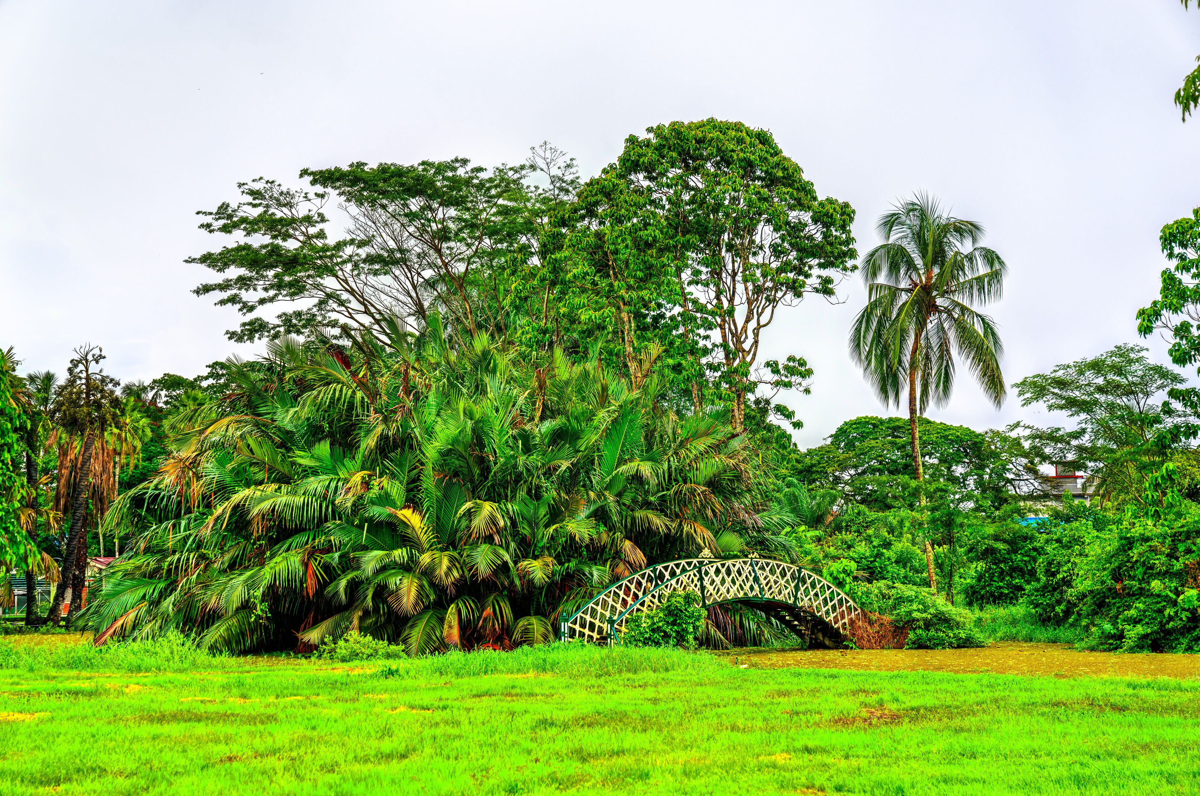 Guyana Botanical Gardens, a tropical botanical garden in Georgetown