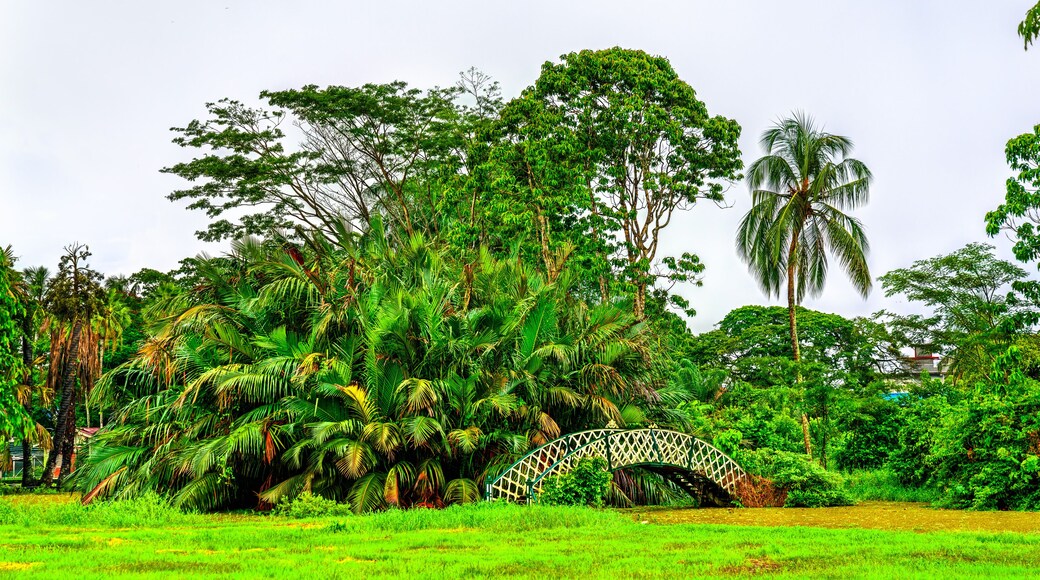 Georgetown Botanical Garden