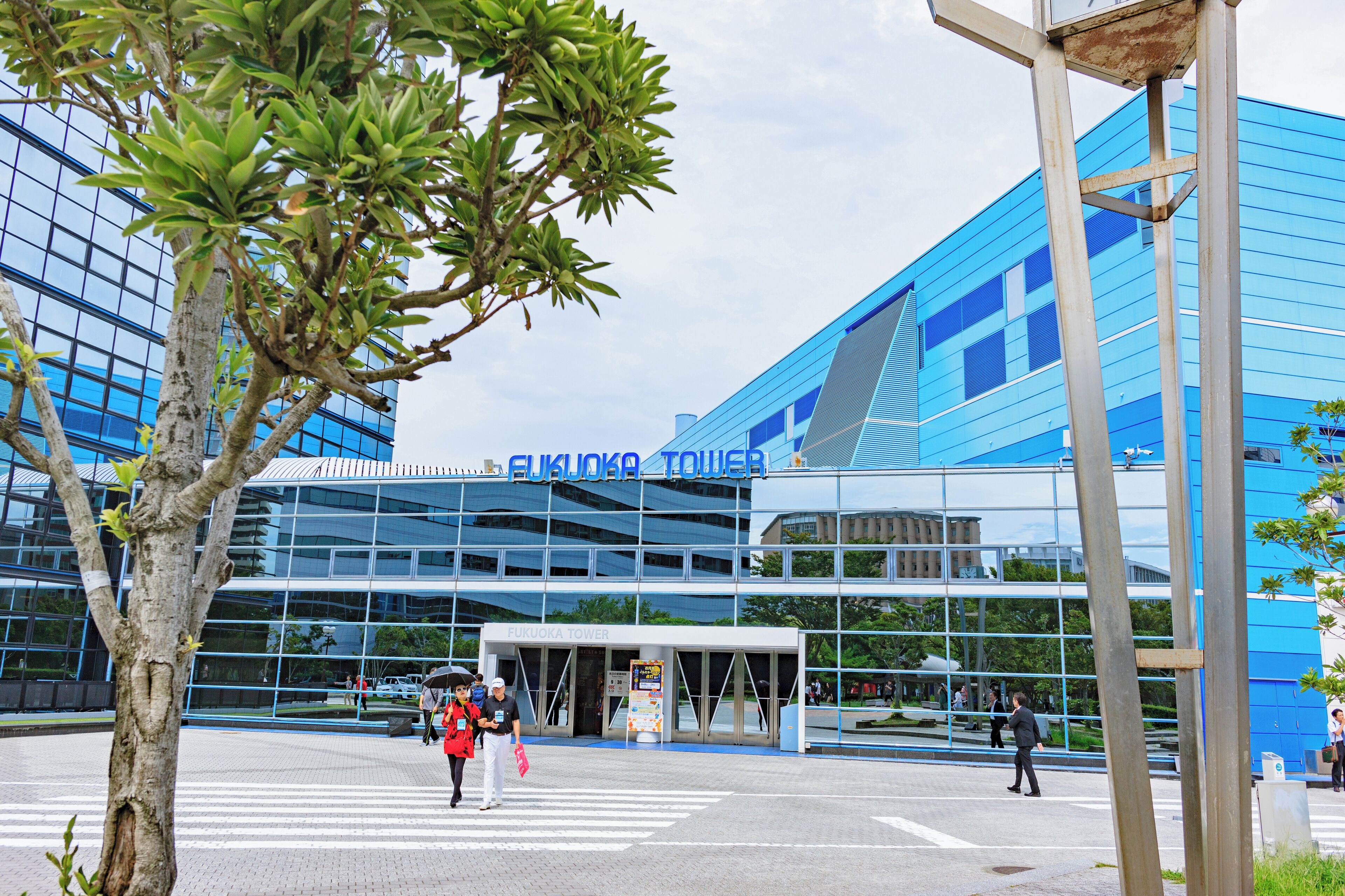 Fukuoka@とっと Fukuoka Tower | Japan Cheapo