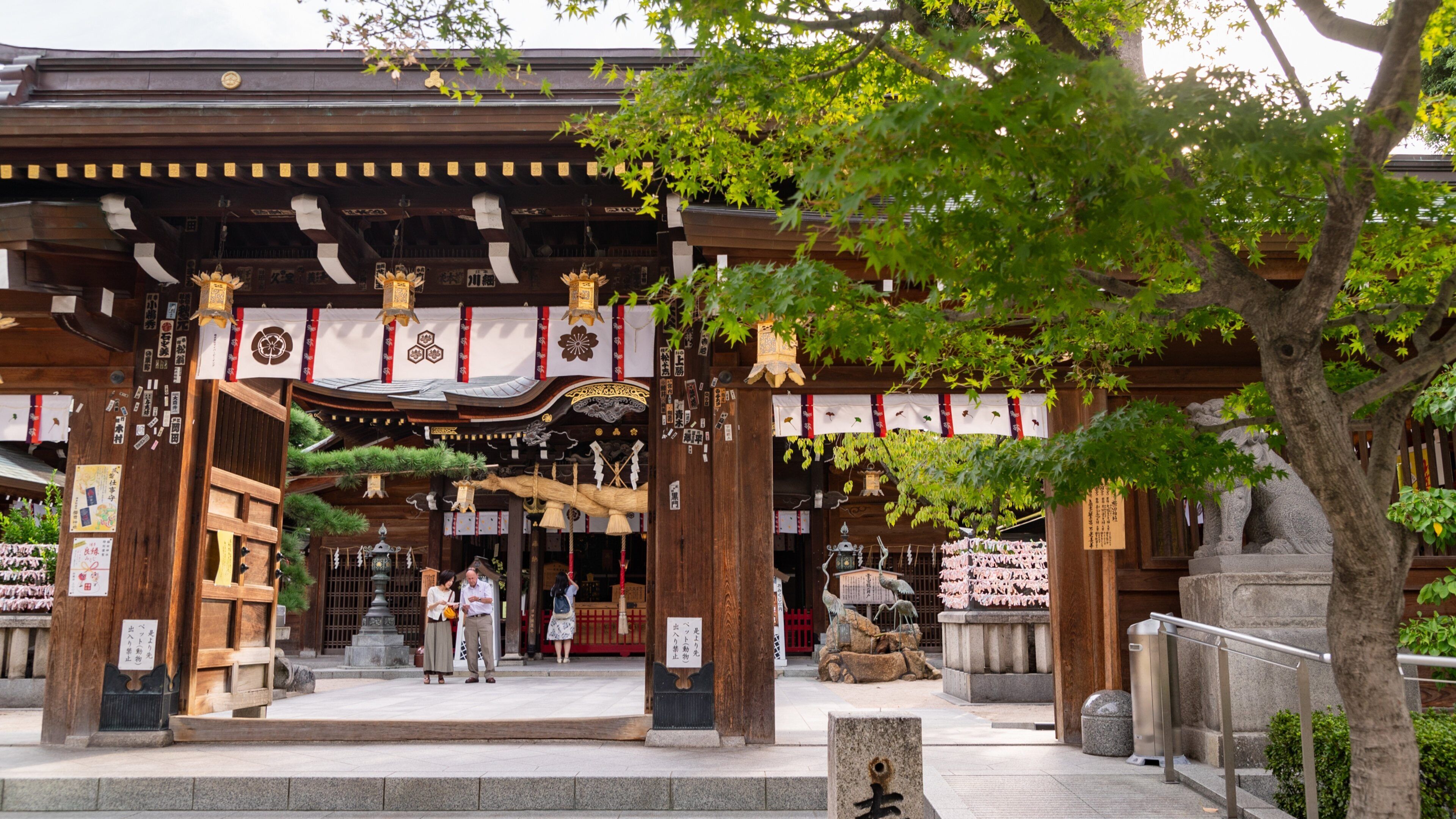 A traditional Japanese temple entrance with wooden architecture, a stone lantern, and cherry blossoms.