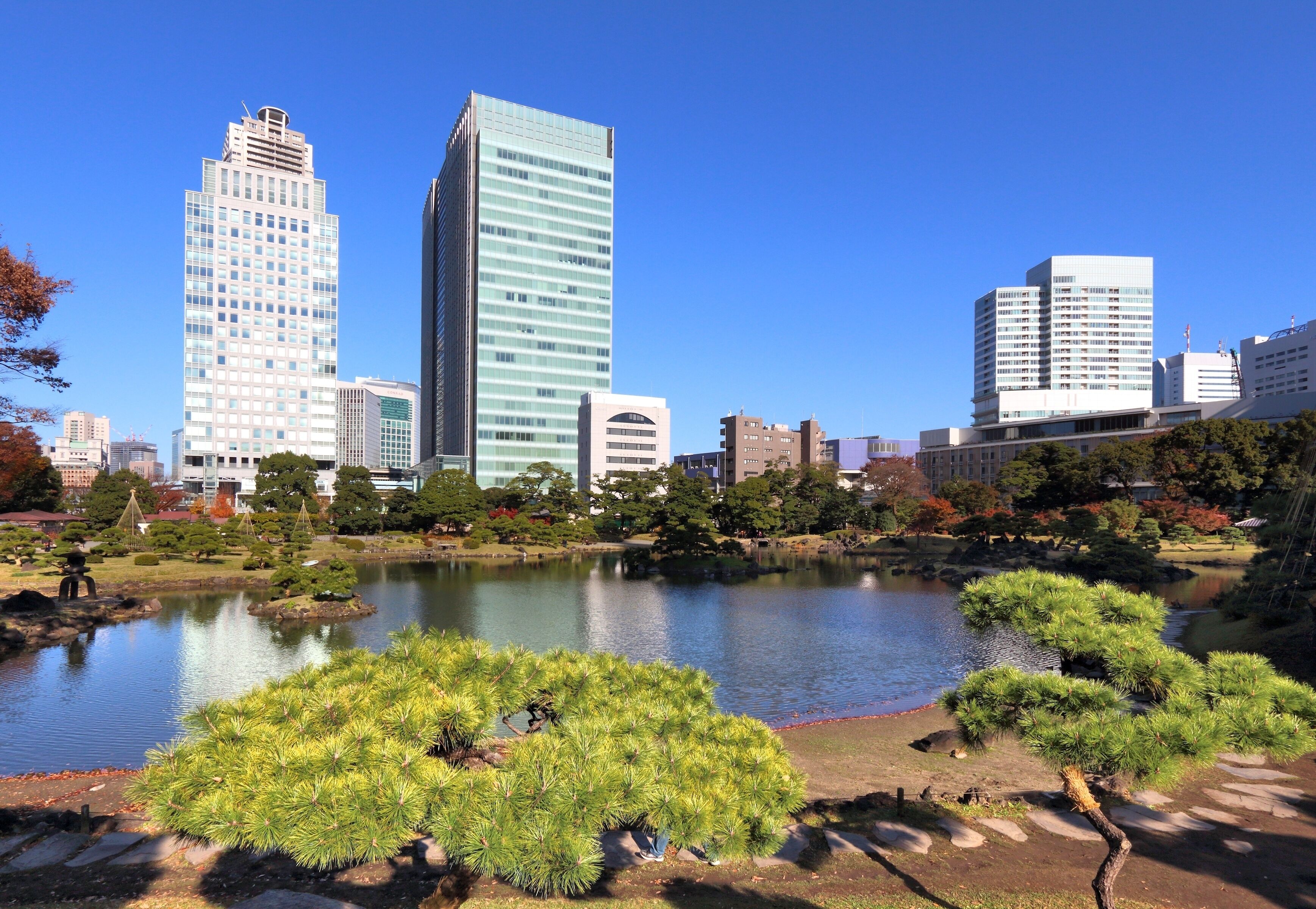 Tokyo skyline - skyscrapers seen from Kyu Shiba Rikyu Garden.; Shutterstock ID 646432741; Purchase Order: -
