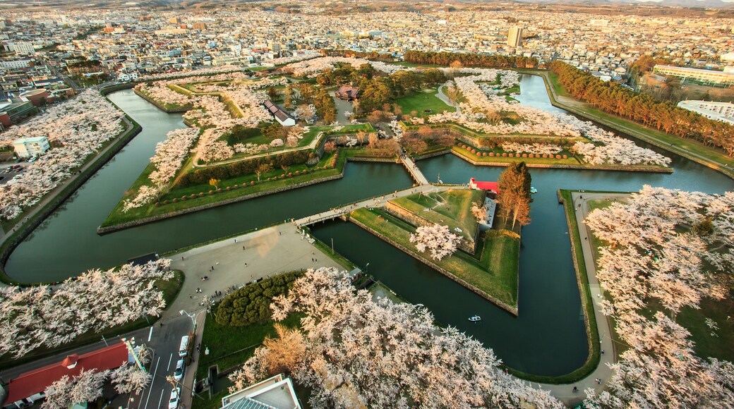 Oshima