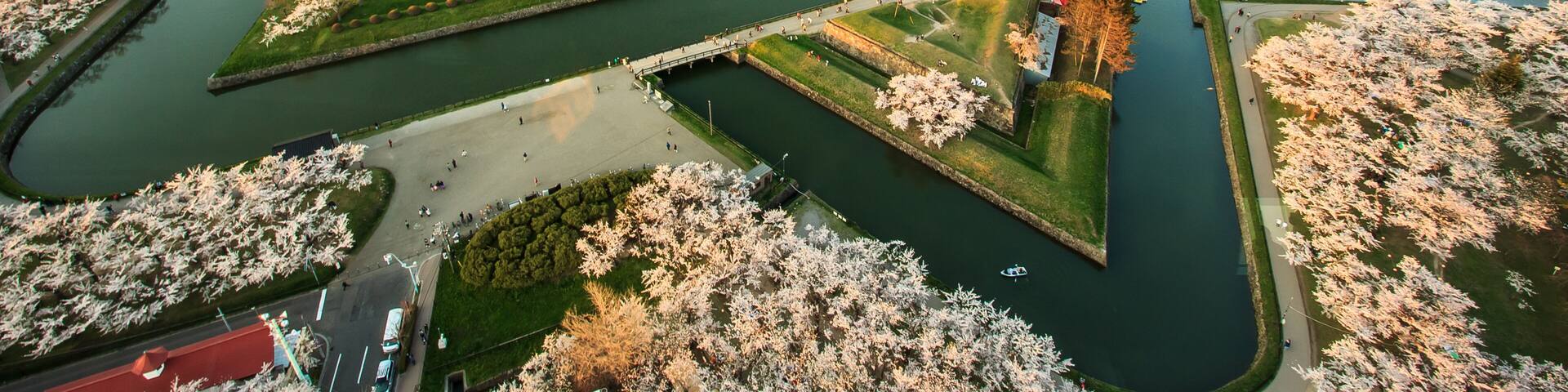 A cityscape with a river, cherry blossom trees, and a bridge.