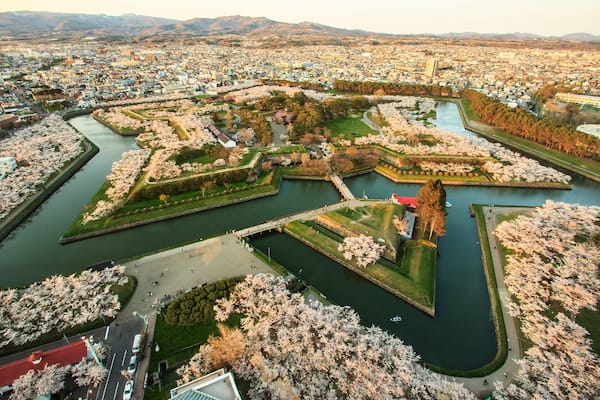 A cityscape with a river, cherry blossom trees, and a bridge.