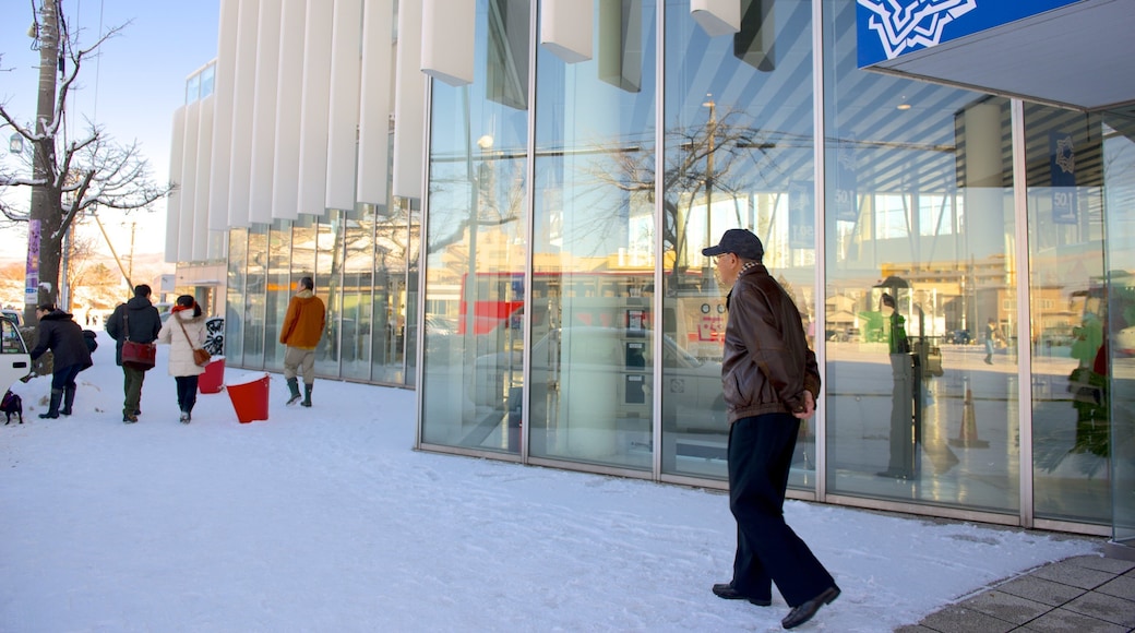 Goryokaku Tower which includes snow as well as an individual male