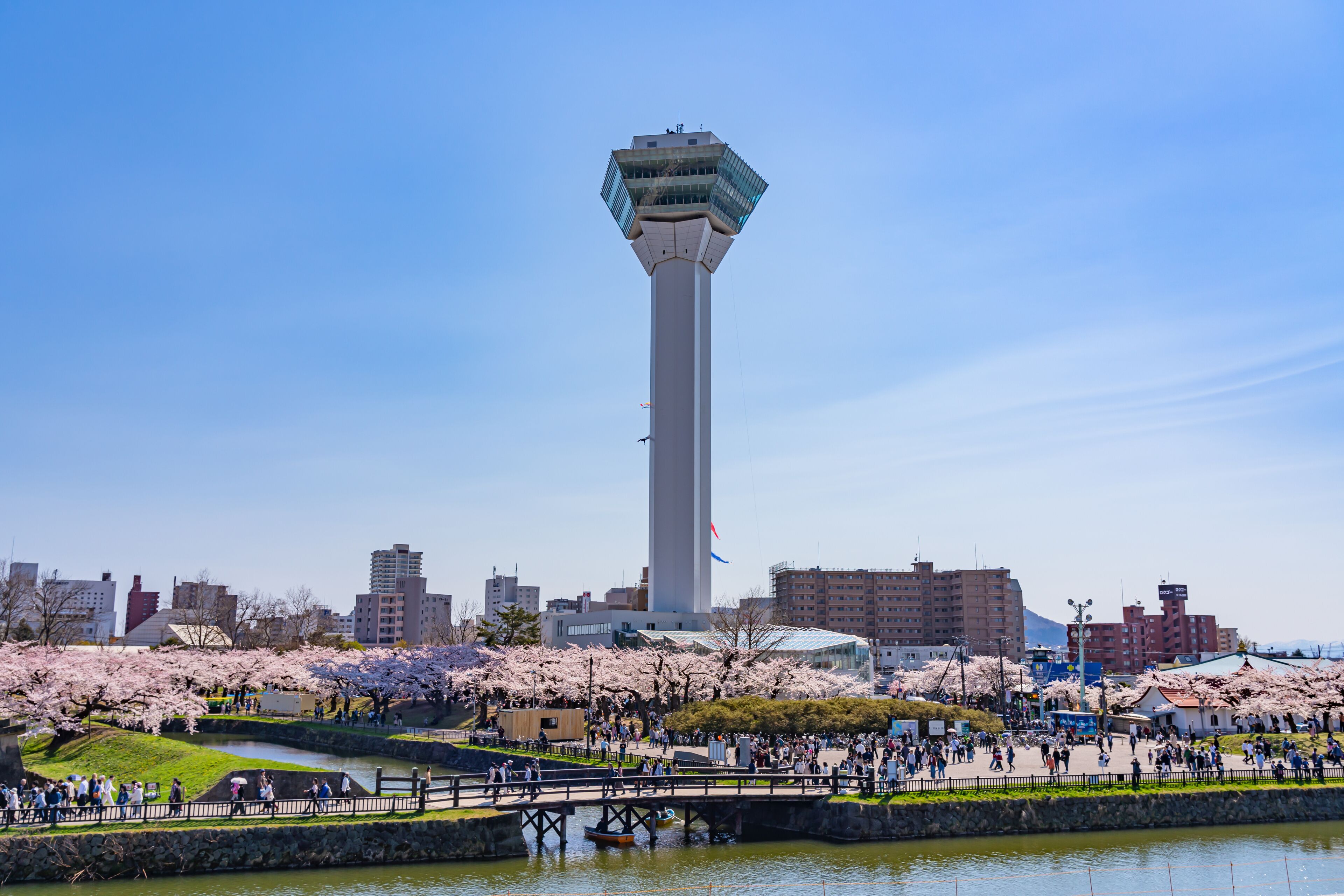 Goryokaku Park Tower in springtime cherry blossom full bloom season sunny day with clear blue sky, the beautiful star shaped fort in Hakodate City, Hokkaido, Japan