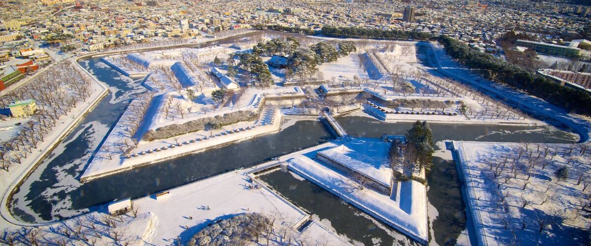 Goryokaku Tower showing landscape views and snow