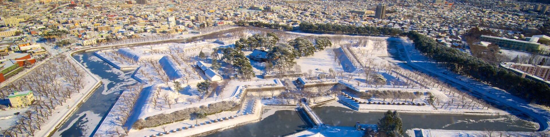 Goryokaku Tower showing landscape views and snow