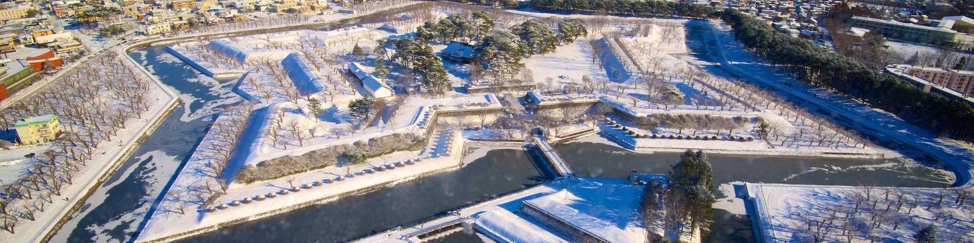 Torre de Goryokaku que inclui paisagem e neve