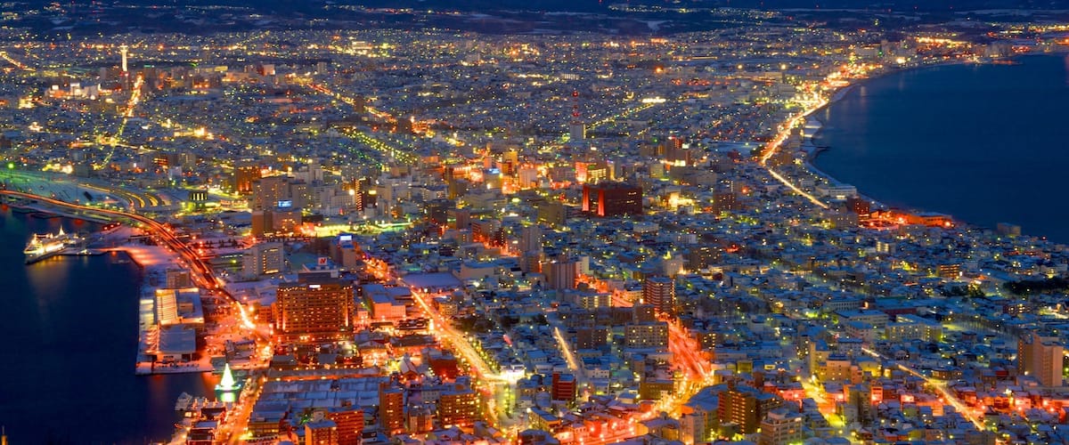 Mount Hakodate showing landscape views, a city and night scenes